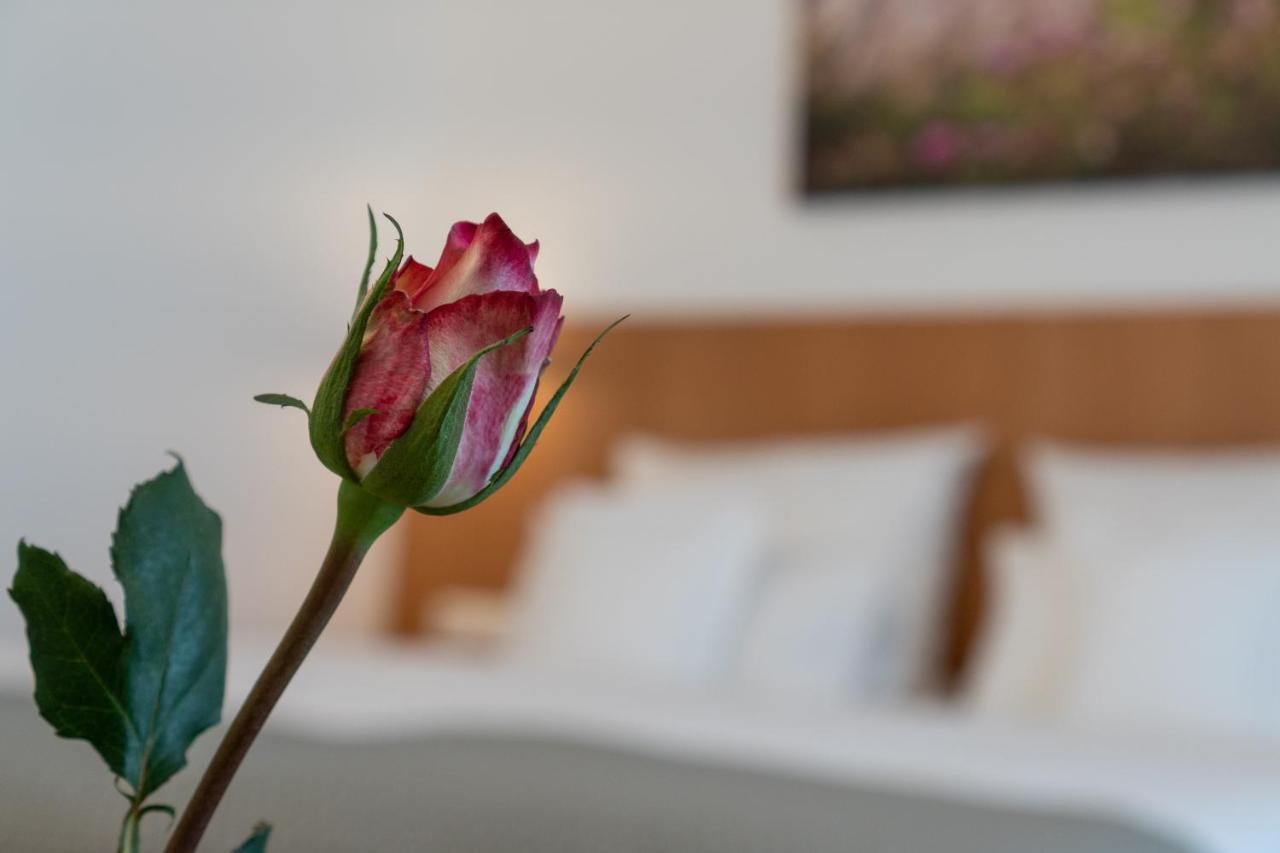 Hotel Elysee Seligenstadt Extérieur photo